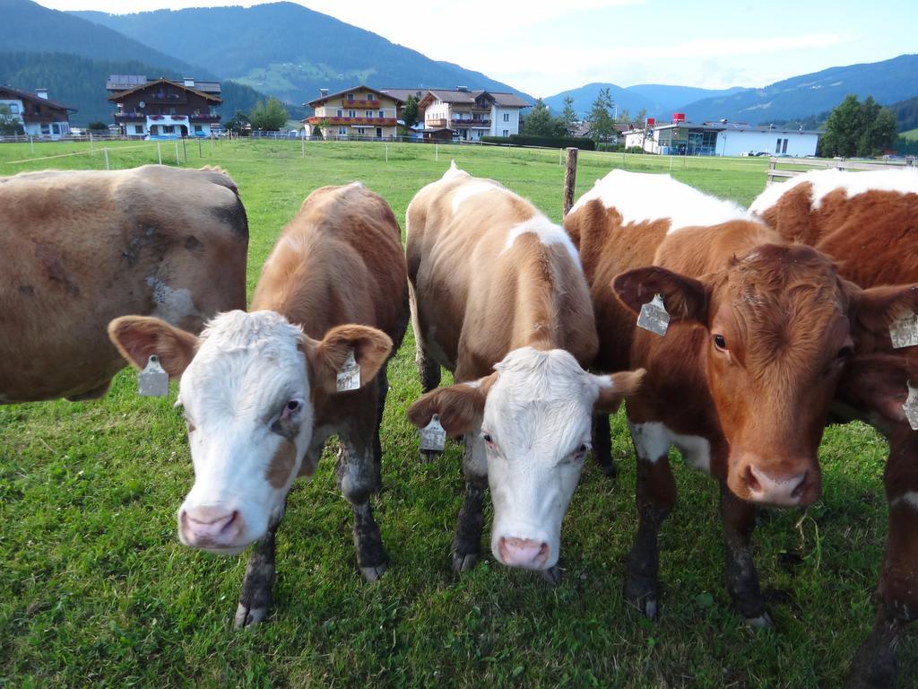 Ausserraingut Flachau Exterior foto